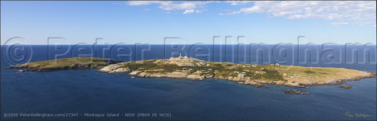 Peter Bellingham Photography Montague Island - NSW (PBH4 00 9635)